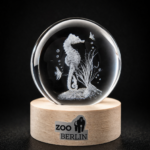 Glaskugel mit Seepferdchen und Zoo Berlin Logo