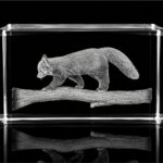 4301001-RPA Glascube 4x3x3 Motiv Roter Panda