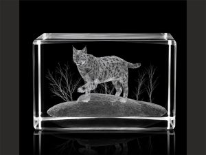 Glas-Arts Cube mit Luchs-Motiv