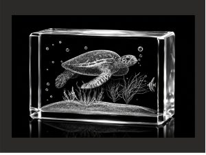 Glas-Arts Cube mit Wasserschildkröten-Motiv