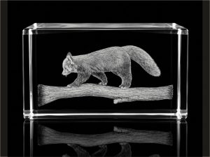 Glas-Arts Cube mit Roter-Panda-Motiv